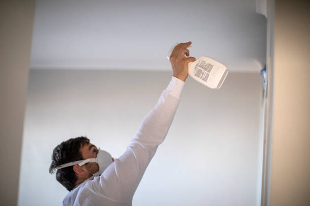 Best Attic Mold Removal  in Davis, CA