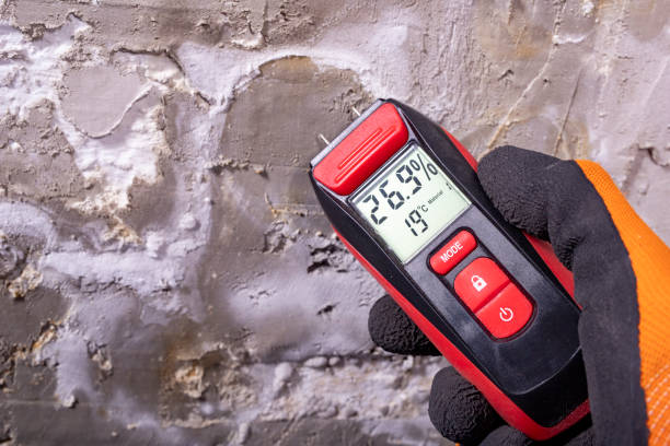 Best Home Mold Removal  in Davis, CA