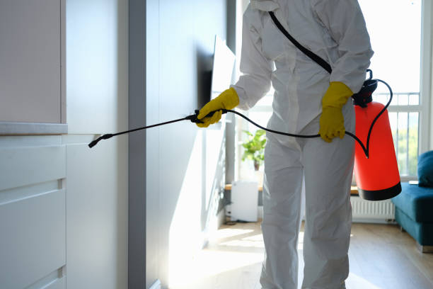 Water Damage Restoration in Davis, CA