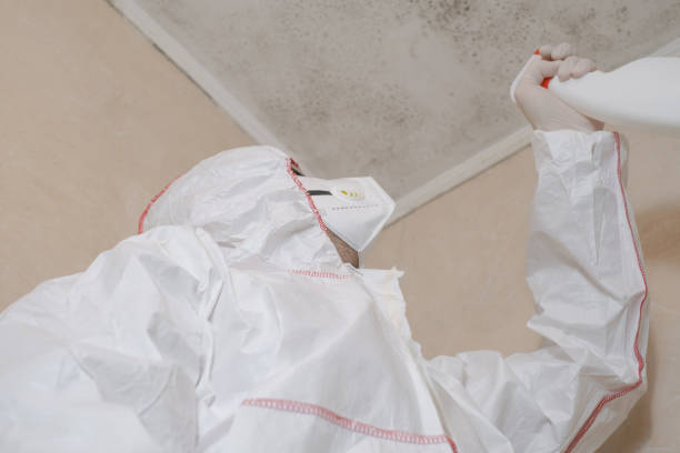 Best Commercial Mold Removal  in Davis, CA